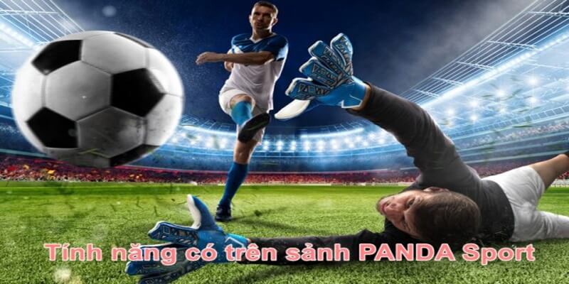 Sảnh thể thao Panda có tỷ lệ trả thưởng linh hoạt