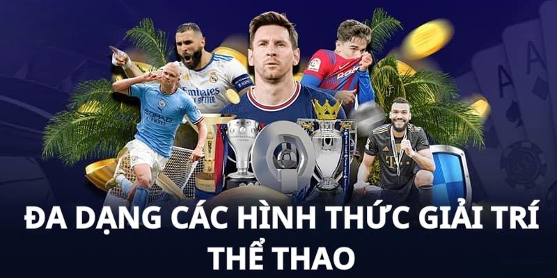 Vô vàn các hình thức giải trí cho người mới