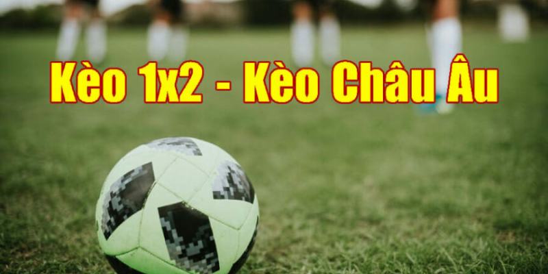 Kèo cược 1x2 thú vị cho mọi người chơi