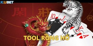 tool rong ho