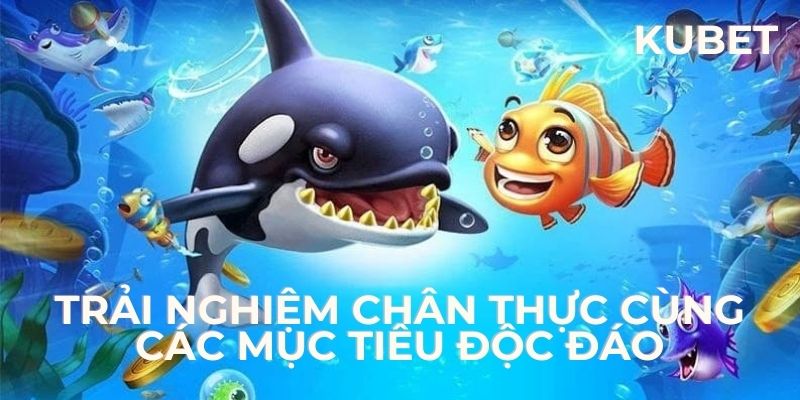 Trải nghiệm chân thực cùng các mục tiêu độc đáo